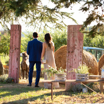matrimonio san donnino vigneto