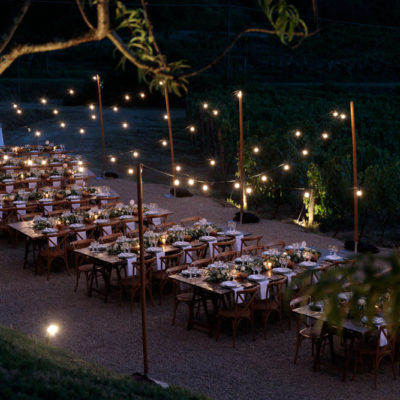 vigneto notturno san donnino