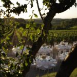 vista matrimonio san donnino winery