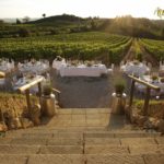 vista vigneto san donnino